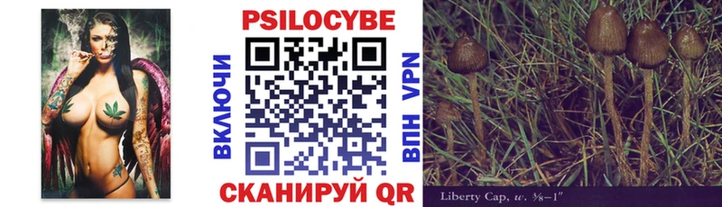 Псилоцибиновые грибы Psilocybine cubensis  Рыбное 